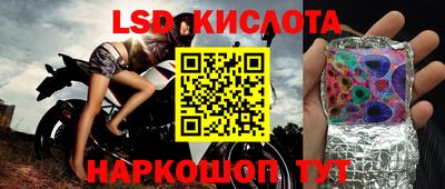 стаф Кулебаки