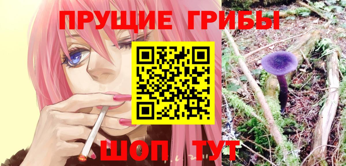 Галлюциногенные грибы ЛСД  Галлюциногенные грибы GOLDEN TEACHER  Ишим  что такое наркотик  Вход с VPN 